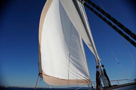 Endeavour 37 Sloop Sailboat Genoa Head Sail